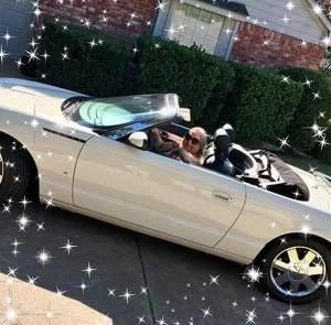 Meet your Posher, Lorraine